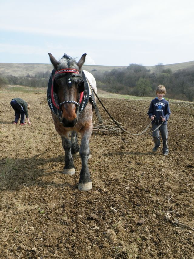 ScholaInNatura Fotogaleria