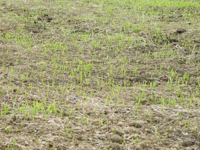 ScholaInNatura Fotogaleria