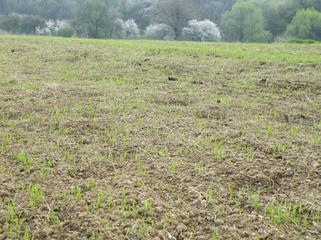 ScholaInNatura Fotogaleria