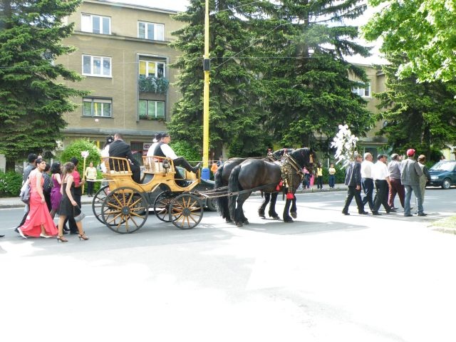 ScholaInNatura Fotogaleria