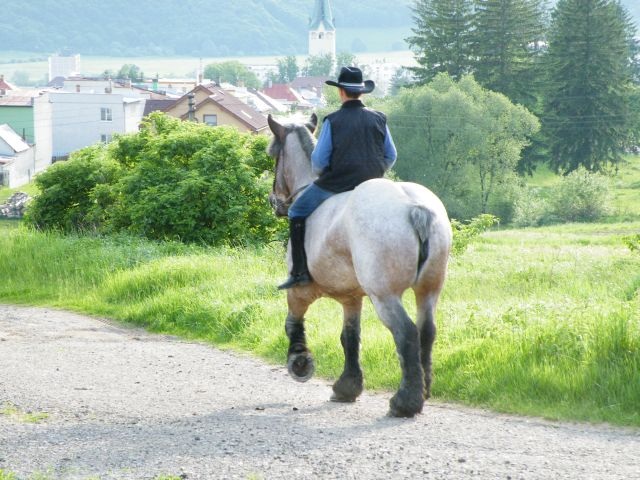 ScholaInNatura Fotogaleria