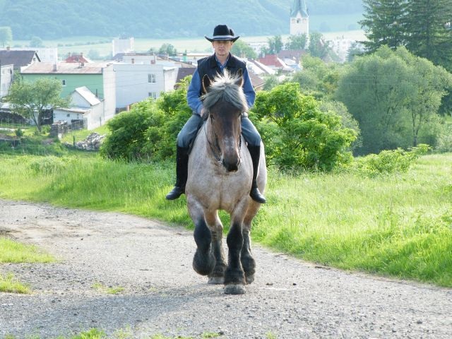 ScholaInNatura Fotogaleria