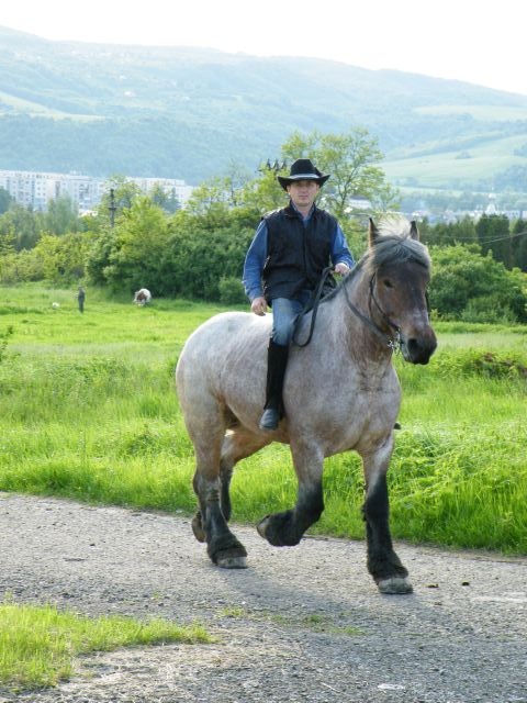 ScholaInNatura Fotogaleria