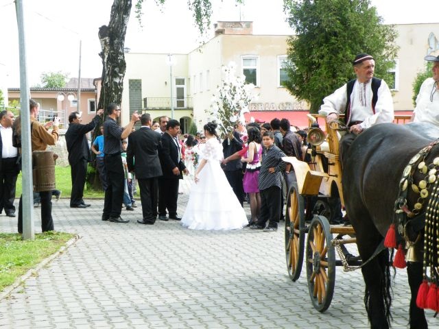 ScholaInNatura Fotogaleria