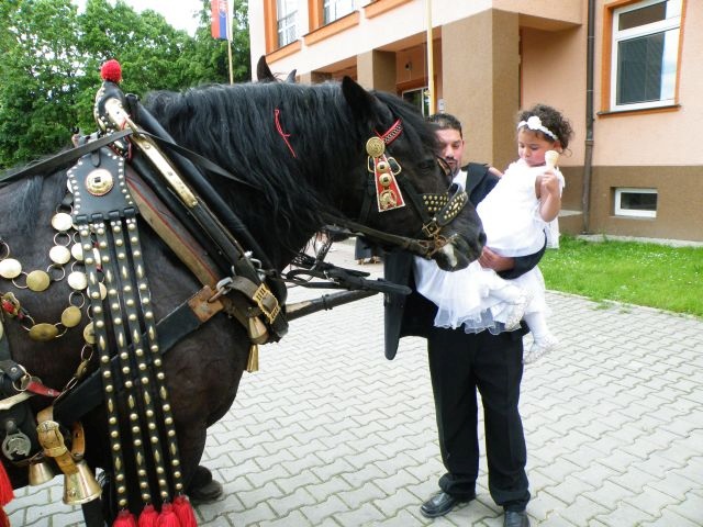 ScholaInNatura Fotogaleria