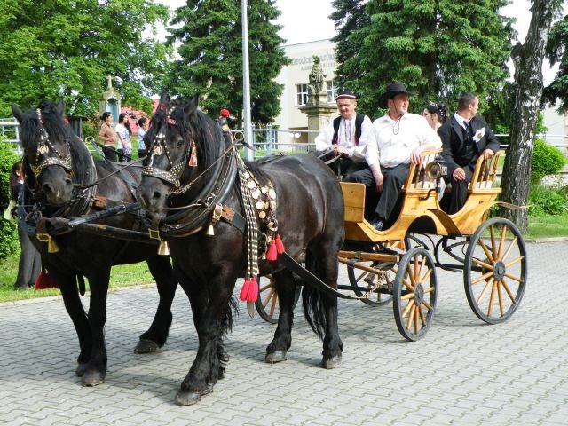 ScholaInNatura Fotogaleria