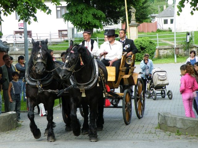 ScholaInNatura Fotogaleria