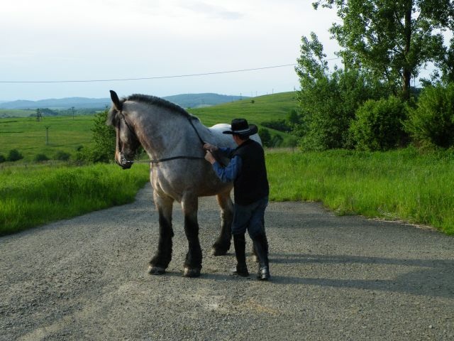 ScholaInNatura Fotogaleria