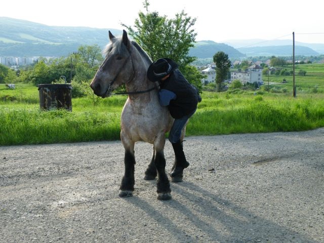 ScholaInNatura Fotogaleria