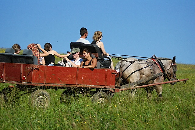 ScholaInNatura Fotogaleria