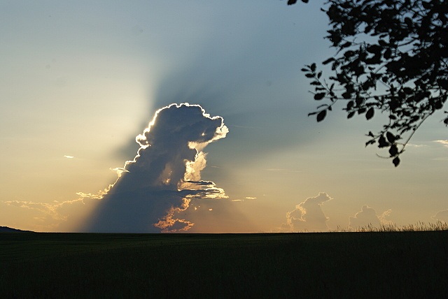 ScholaInNatura Fotogaleria