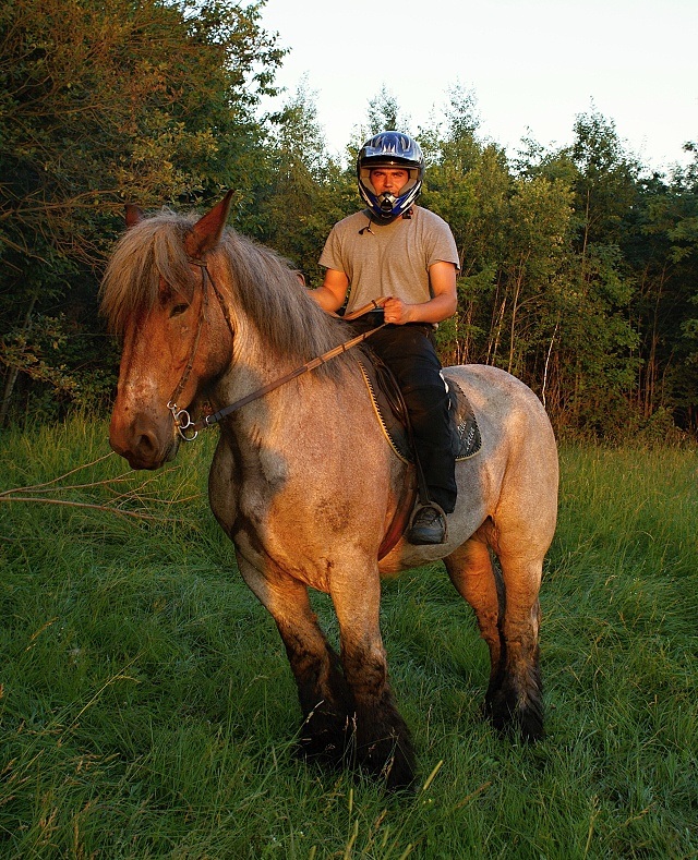 ScholaInNatura Fotogaleria