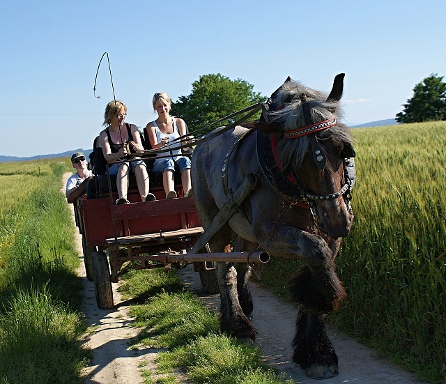 ScholaInNatura Fotogaleria