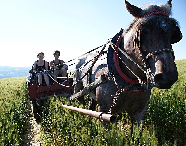 ScholaInNatura Fotogaleria