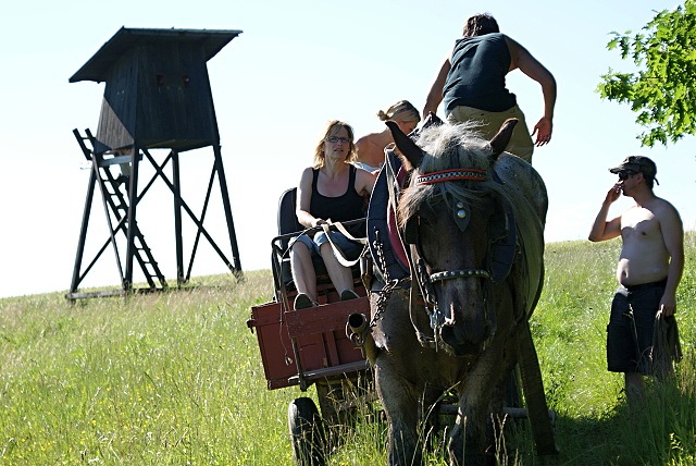 ScholaInNatura Fotogaleria