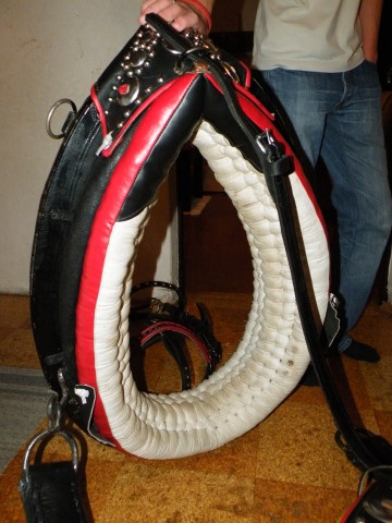 ScholaInNatura Fotogaleria