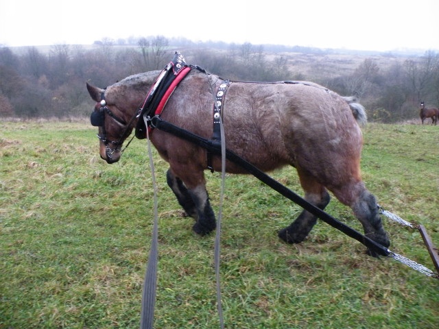 ScholaInNatura Fotogaleria