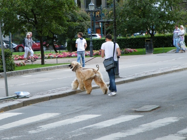 ScholaInNatura Fotogaleria