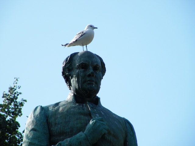 ScholaInNatura Fotogaleria