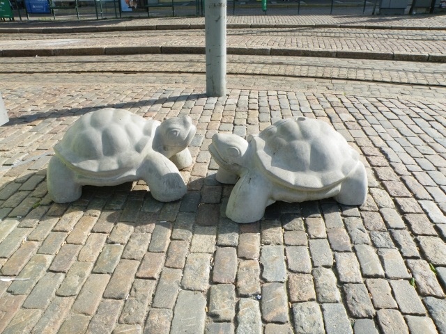 ScholaInNatura Fotogaleria