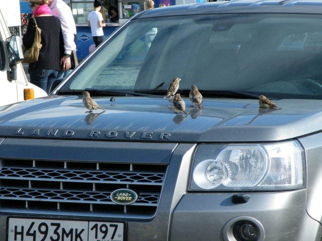 ScholaInNatura Fotogaleria