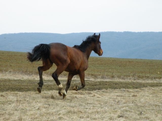 ScholaInNatura Fotogaleria