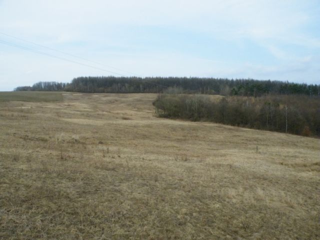 ScholaInNatura Fotogaleria