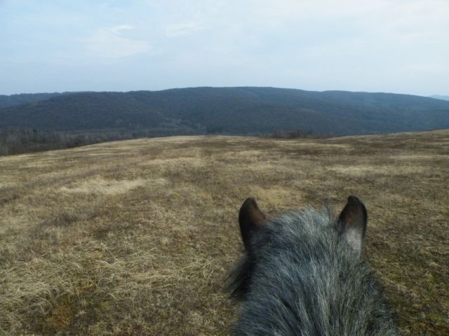 ScholaInNatura Fotogaleria