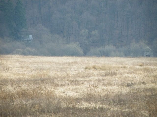 ScholaInNatura Fotogaleria