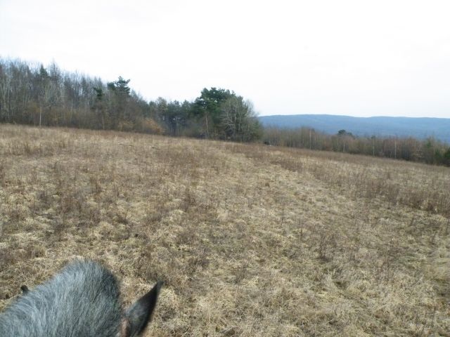 ScholaInNatura Fotogaleria