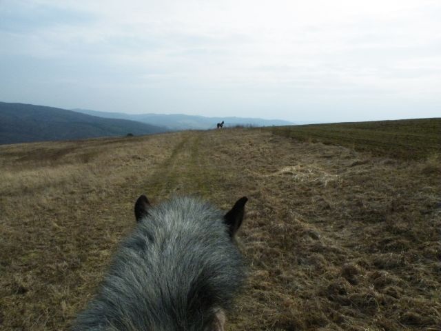 ScholaInNatura Fotogaleria