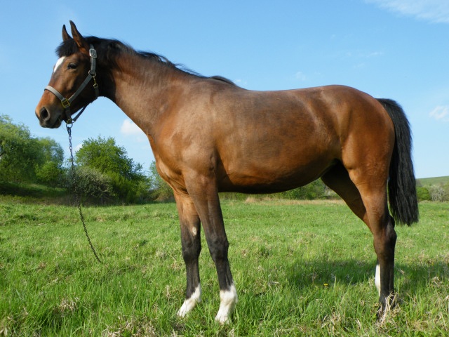 ScholaInNatura Fotogaleria