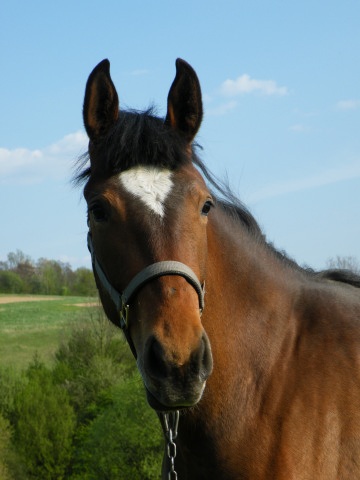 ScholaInNatura Fotogaleria