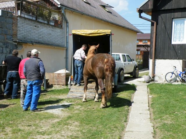 ScholaInNatura Fotogaleria