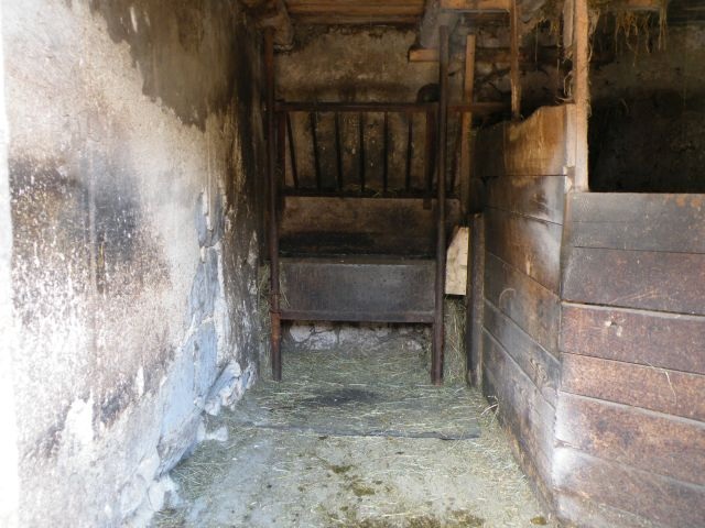 ScholaInNatura Fotogaleria