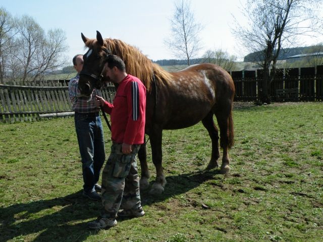 ScholaInNatura Fotogaleria