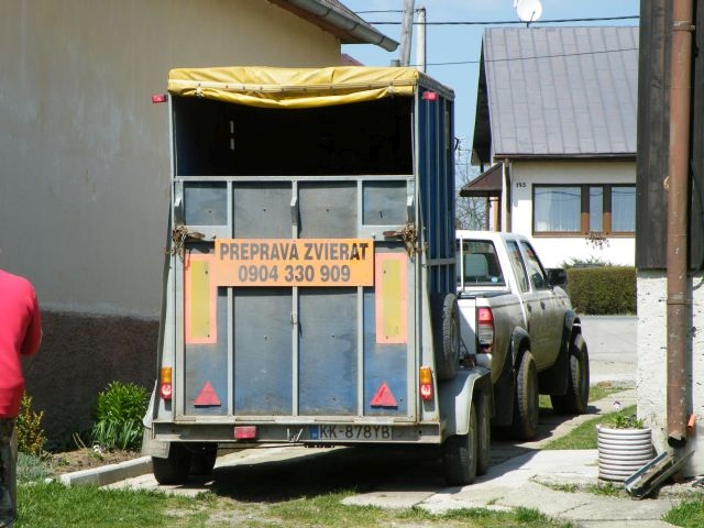 ScholaInNatura Fotogaleria