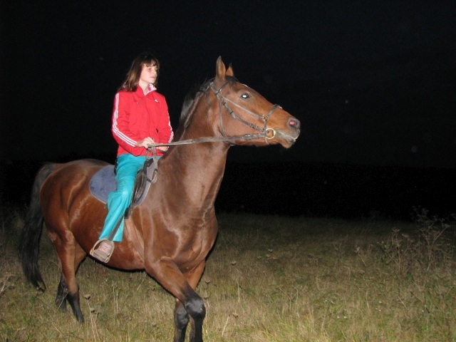 ScholaInNatura Fotogaleria