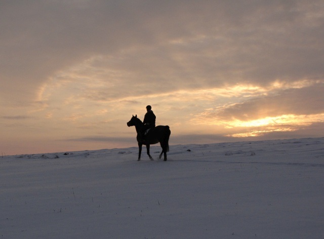 ScholaInNatura Fotogaleria