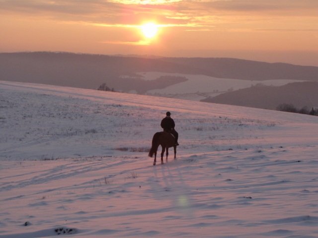 ScholaInNatura Fotogaleria