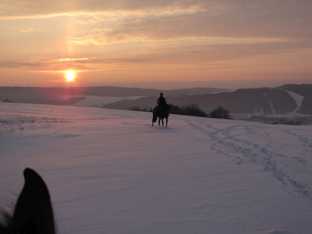 ScholaInNatura Fotogaleria