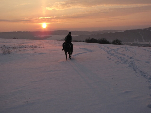 ScholaInNatura Fotogaleria