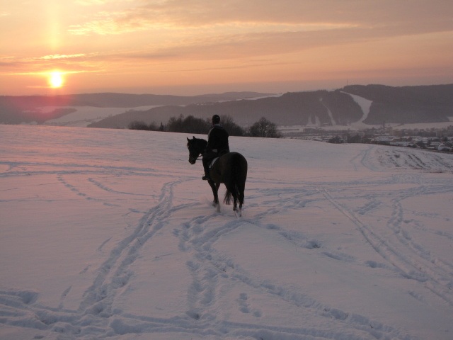 ScholaInNatura Fotogaleria