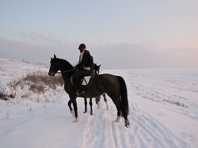 ScholaInNatura Fotogaleria