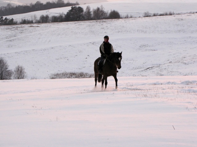 ScholaInNatura Fotogaleria