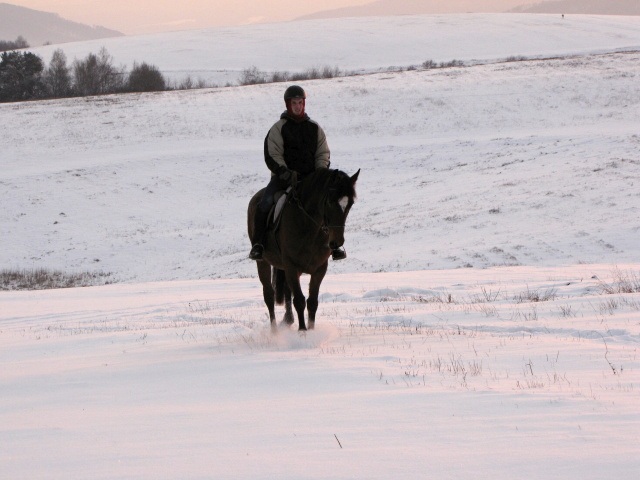 ScholaInNatura Fotogaleria