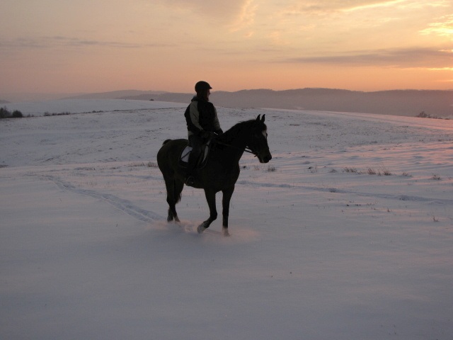 ScholaInNatura Fotogaleria