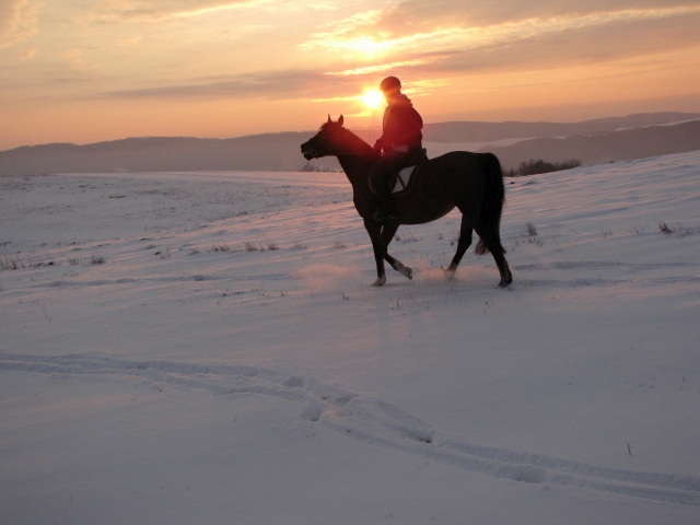 ScholaInNatura Fotogaleria