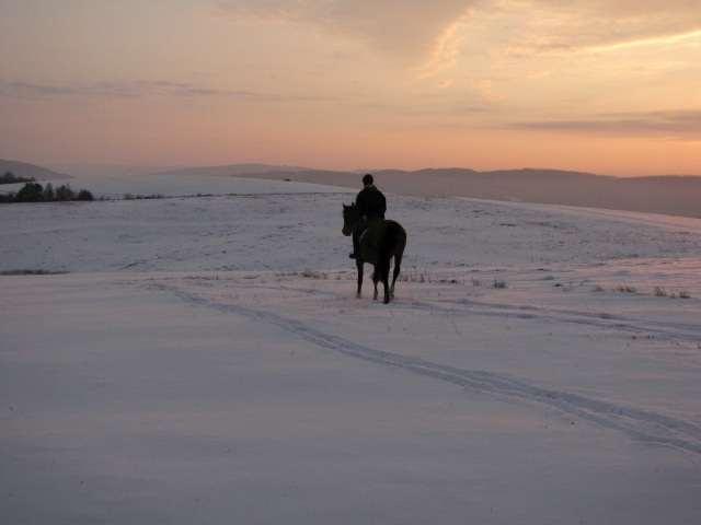 ScholaInNatura Fotogaleria