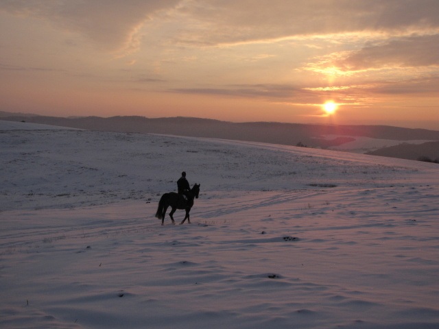 ScholaInNatura Fotogaleria